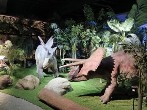 Image-1